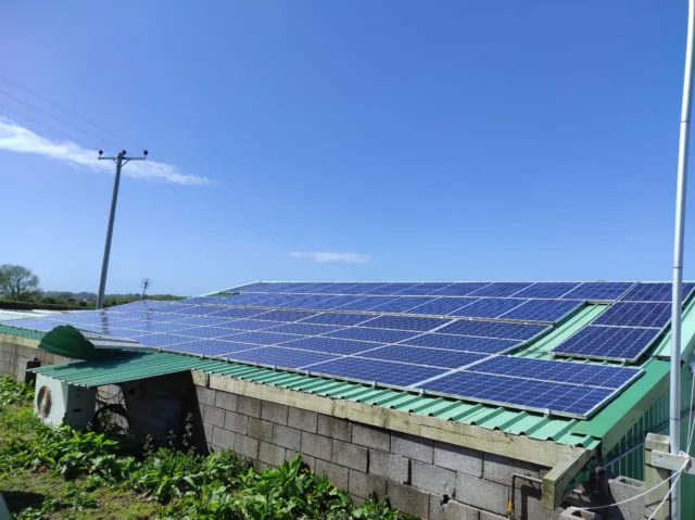 Solar panels on a commercial building undergoing an operational energy audit