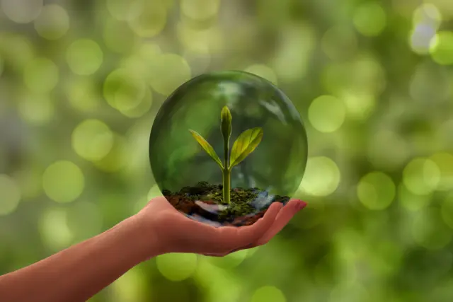A hand holding a bubble with a newly planted plant